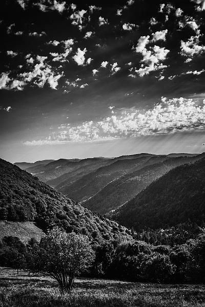 2017_08_23_Vosges (0087)b-w.jpg - Rainkopf (Vosges 2017)